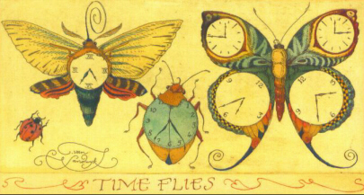 JDTF - Time Flies Bugs