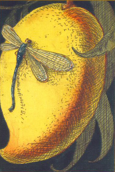 FAMD - Mango w/Dragonfly