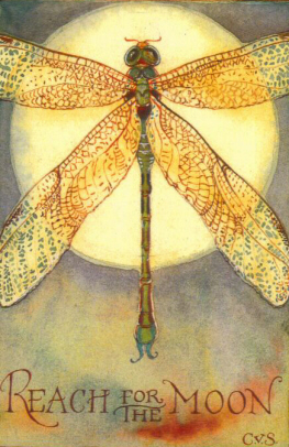 MED - Dragonfly / Moon