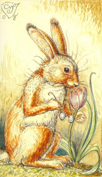 SNRT - Mr. Rabbit & Tulip