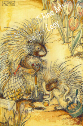 SNPP - Porcupines Planting