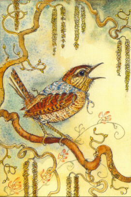 SNW - Wren & Catkins
