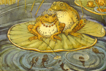 AFTT - Toads & Tadpoles