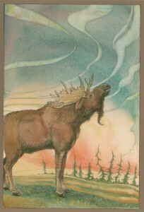 XNM - Northern Light Moose