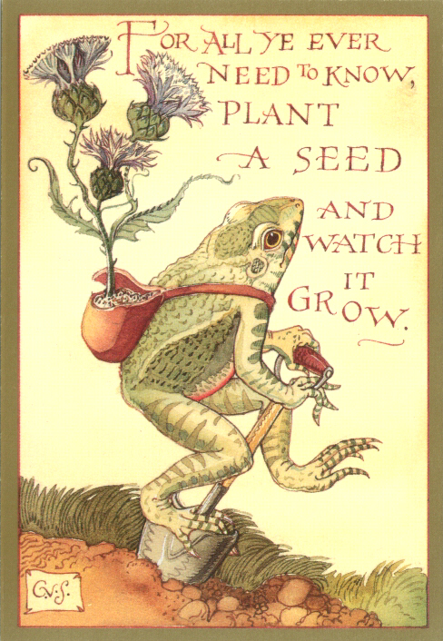 AWFP - Frog Planting